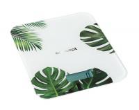 Digitální kuchyňská váha Concept VK5713 MONSTERA