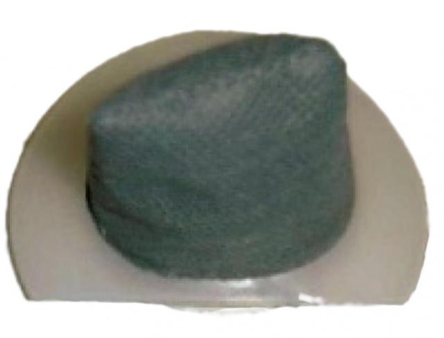 Motorový filtr HOOVER S67 Dry Handy 2