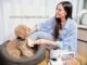 Ru�n� vysava� ETA PetMaster 4216 - kompletn� p��e o zv��ec� srst