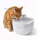 Font�nka Nedis PETWF21WT na pit� pro dom�c� mazl��ky