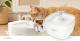 Font�nka Nedis PETWF21WT na pit� pro dom�c� mazl��ky