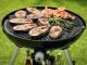 Plynov gril CADAC Carri Chef 2 BBQ SKOTTEL