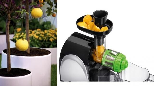 šnekový odšavova Princess Vita Pure Slow Juicer